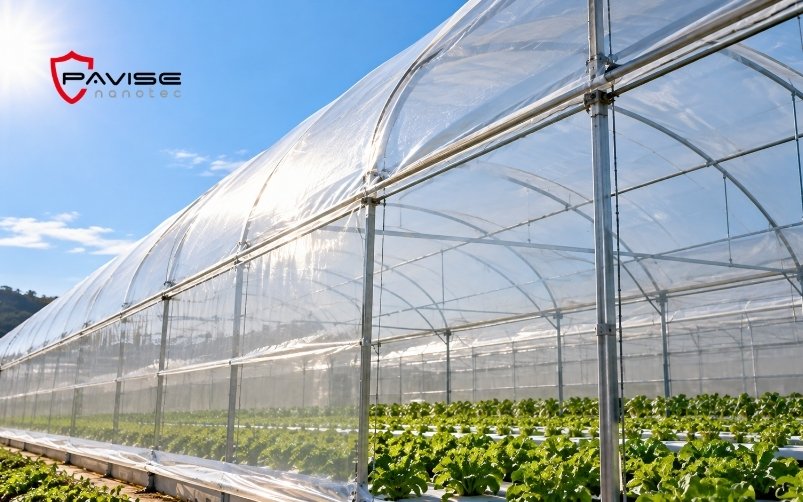 Bạc nhựa nhà kính ARGOSHIELD™ TSM-60 PE kiểm soát nhiệt thông qua khả năng điều chỉnh phổ ánh sáng
